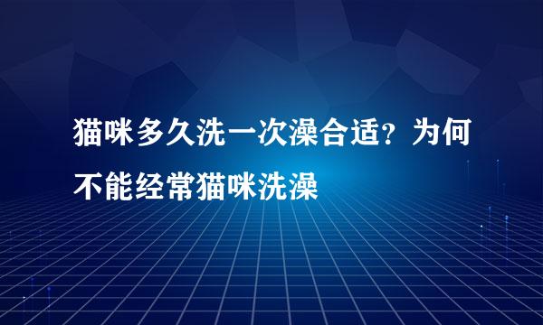 猫咪多久洗一次澡合适?为何不能经常猫咪洗澡