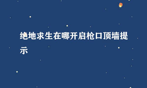 绝地求生在哪开启枪口顶墙提示