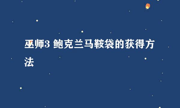 巫师3 鲍克兰马鞍袋的获得方法
