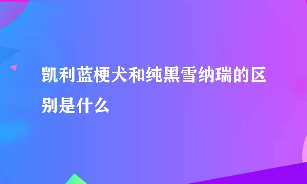 凯利蓝梗犬和纯黑雪纳瑞的区别是什么