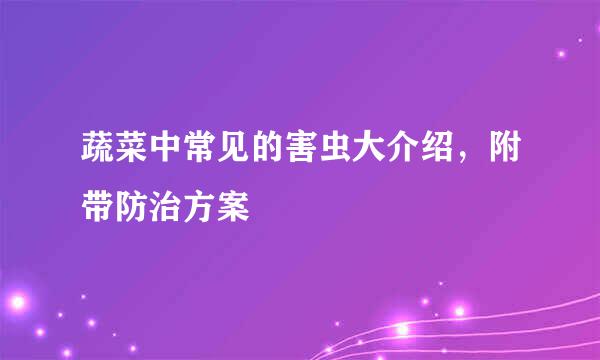 蔬菜中常见的害虫大介绍，附带防治方案