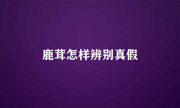 鹿茸怎样辨别真假