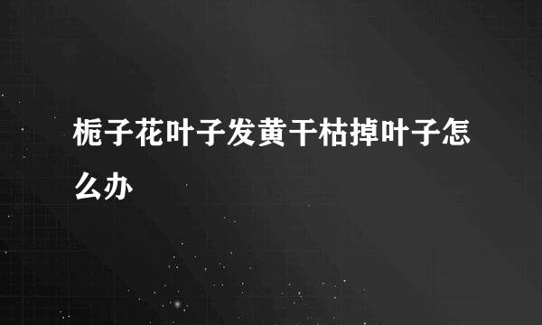 栀子花叶子发黄干枯掉叶子怎么办