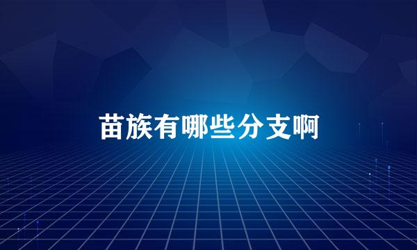苗族有哪些分支啊