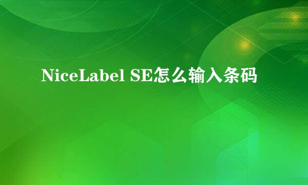 NiceLabel SE怎么输入条码
