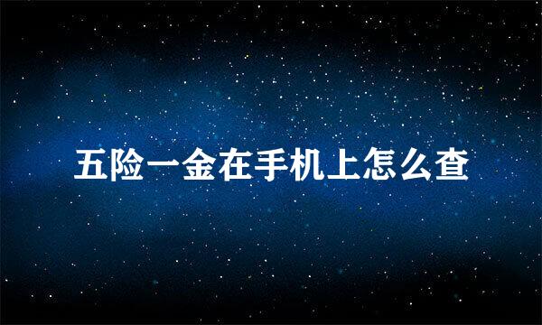 五险一金在手机上怎么查