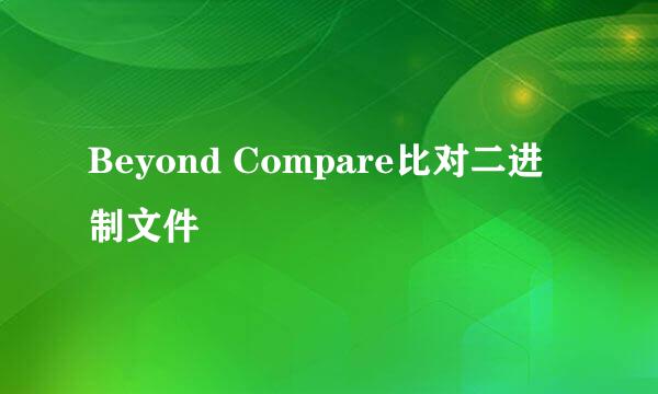 Beyond Compare比对二进制文件