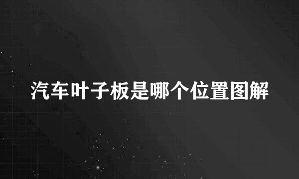 汽车叶子板是哪个位置图解