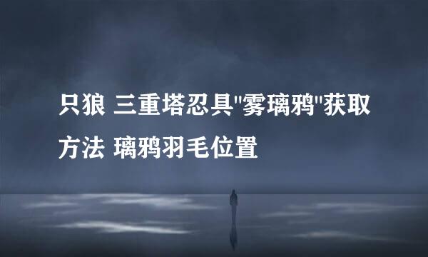 只狼 三重塔忍具