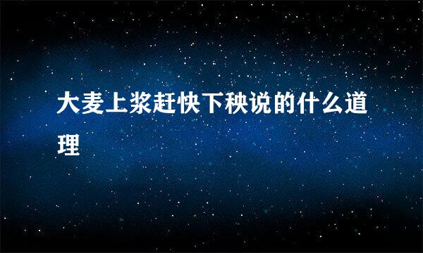 大麦上浆赶快下秧说的什么道理
