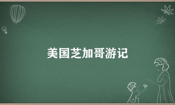 美国芝加哥游记