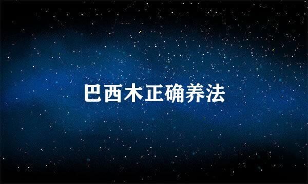 巴西木正确养法