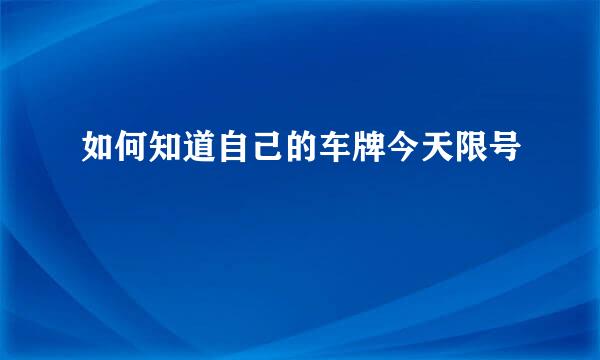 如何知道自己的车牌今天限号