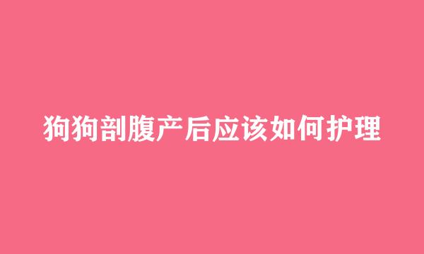狗狗剖腹产后应该如何护理