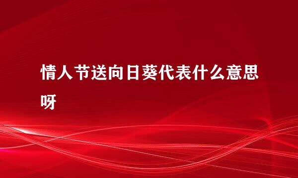 情人节送向日葵代表什么意思呀