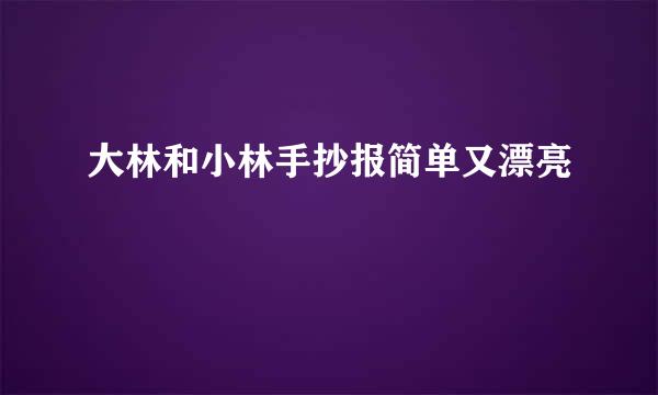 大林和小林手抄报简单又漂亮