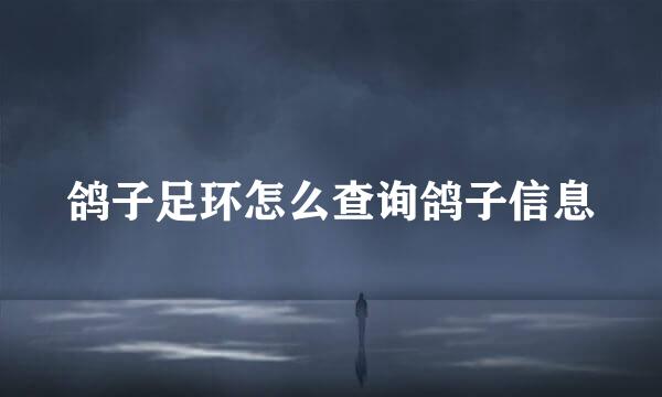 鸽子足环怎么查询鸽子信息