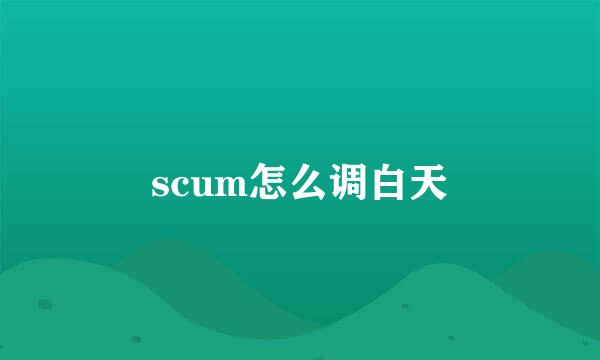 scum怎么调白天
