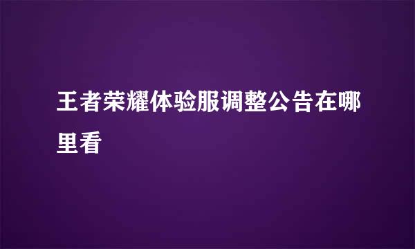 王者荣耀体验服调整公告在哪里看