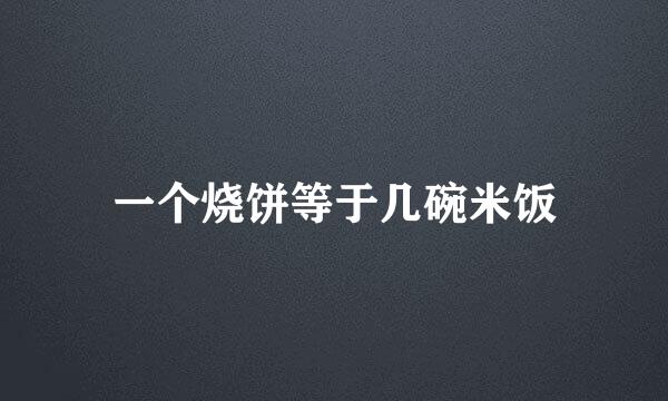 一个烧饼等于几碗米饭