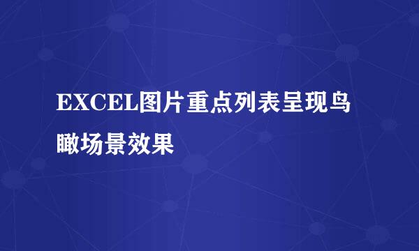 EXCEL图片重点列表呈现鸟瞰场景效果