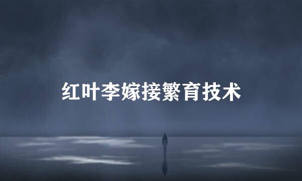 红叶李嫁接繁育技术