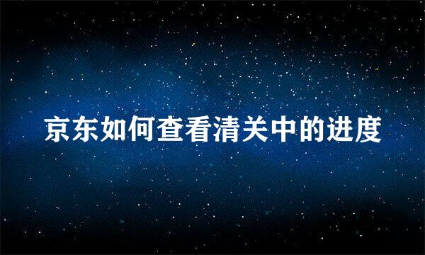 京东如何查看清关中的进度