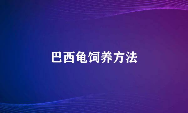 巴西龟饲养方法