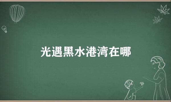 光遇黑水港湾在哪