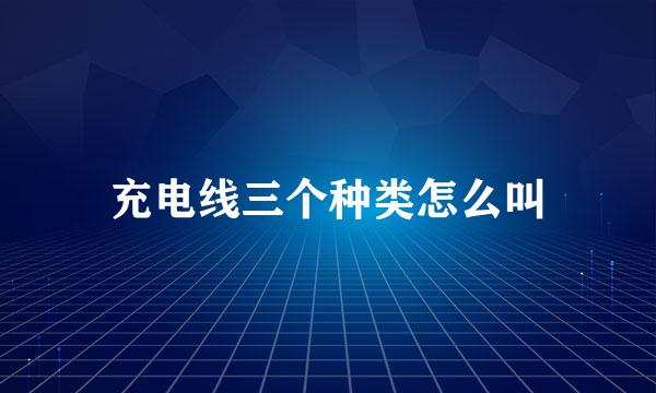 充电线三个种类怎么叫