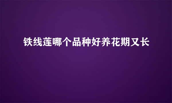 铁线莲哪个品种好养花期又长