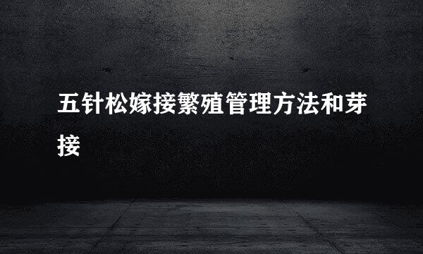 五针松嫁接繁殖管理方法和芽接