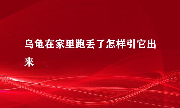 乌龟在家里跑丢了怎样引它出来