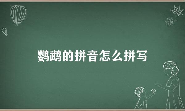 鹦鹉的拼音怎么拼写