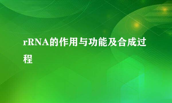 rRNA的作用与功能及合成过程