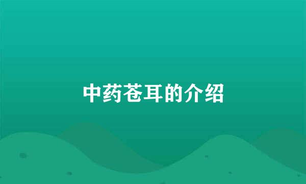 中药苍耳的介绍