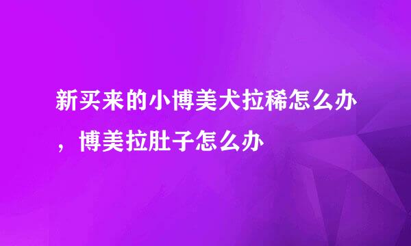 新买来的小博美犬拉稀怎么办,博美拉肚子怎么办