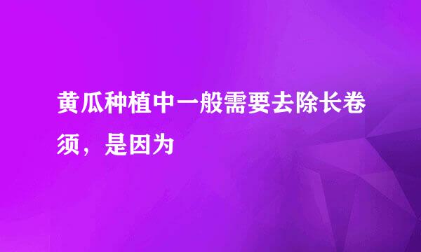 黄瓜种植中一般需要去除长卷须，是因为