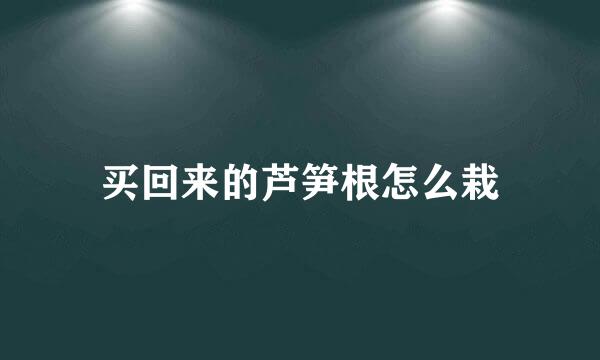 买回来的芦笋根怎么栽