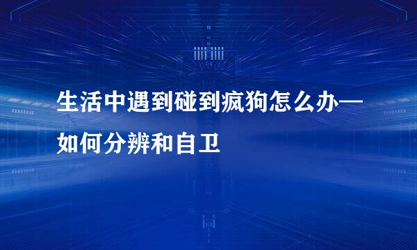 生活中遇到碰到疯狗怎么办—如何分辨和自卫