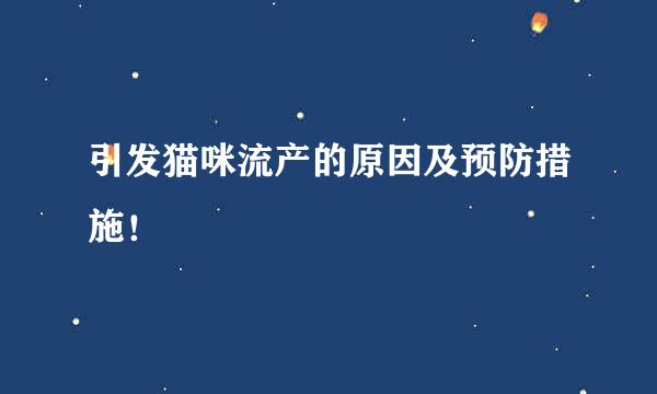 引发猫咪流产的原因及预防措施！
