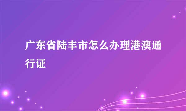 广东省陆丰市怎么办理港澳通行证