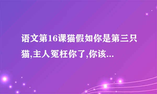 语文第16课猫假如你是第三只猫,主人冤枉你了,你该如何为自己辨诉