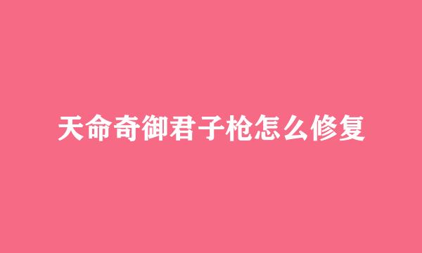 天命奇御君子枪怎么修复