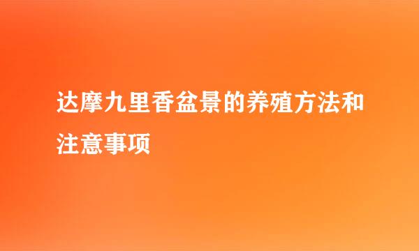 达摩九里香盆景的养殖方法和注意事项