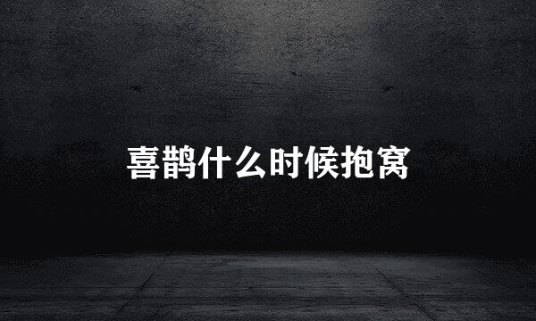喜鹊什么时候抱窝