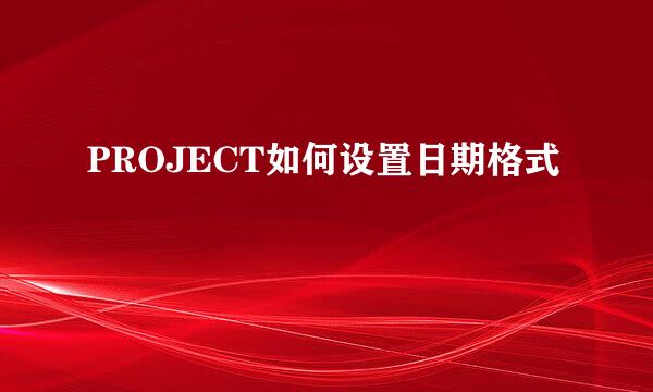 PROJECT如何设置日期格式