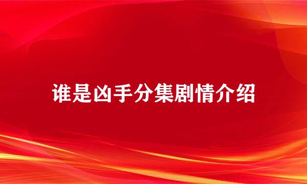 谁是凶手分集剧情介绍