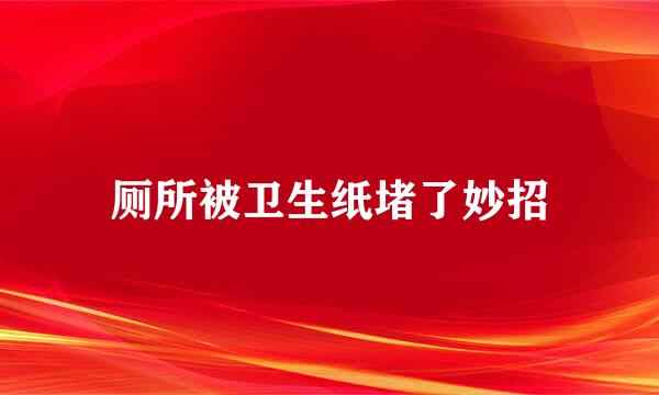 厕所被卫生纸堵了妙招