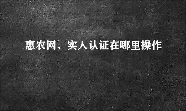 惠农网，实人认证在哪里操作